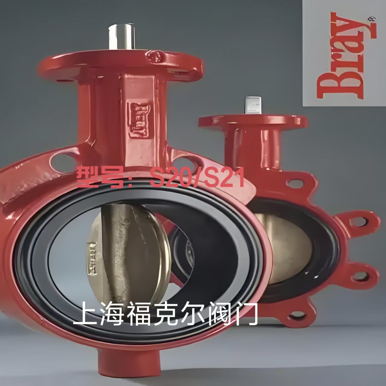 美国bray博雷 S20/S21对夹式蝶阀