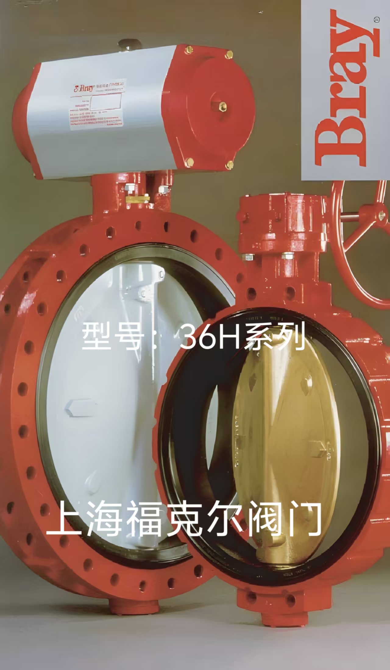 美国Bray博雷衬胶蝶阀36H系列