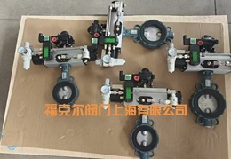 德国EBRO依博罗Z011-A气动对夹式蝶阀