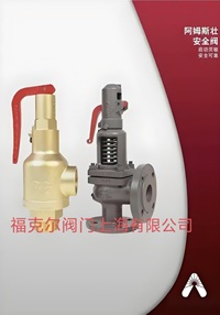 美国阿姆斯壮496-AP全启式安全阀